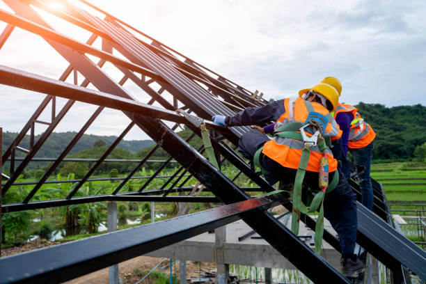 Best Roof Gutter Cleaning  in Wallis, TX