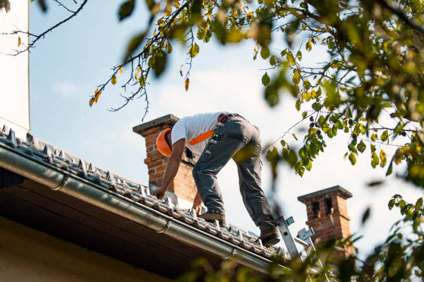 Best Gutter Installation and Roofing  in Wallis, TX