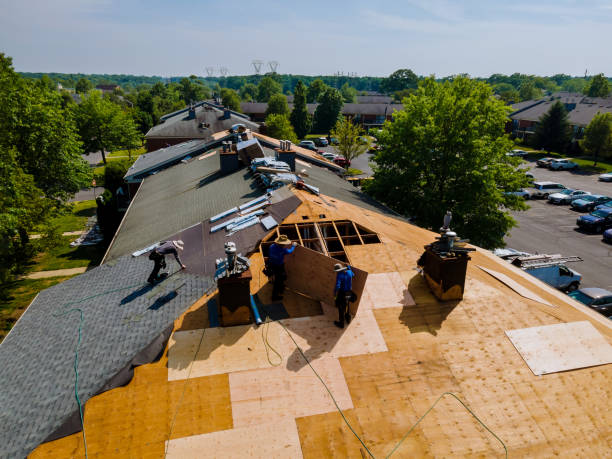 Best Flat Roof Repair Services  in Wallis, TX