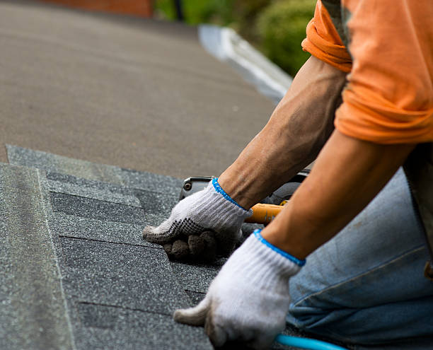 Best Tile Roofing Contractor  in Wallis, TX
