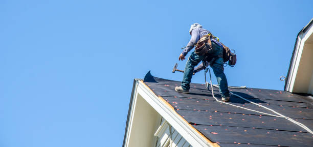 Roof Gutter Cleaning in Wallis, TX